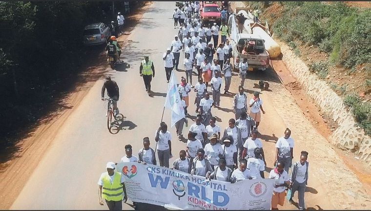 Aerial view of the World Kidney Day march